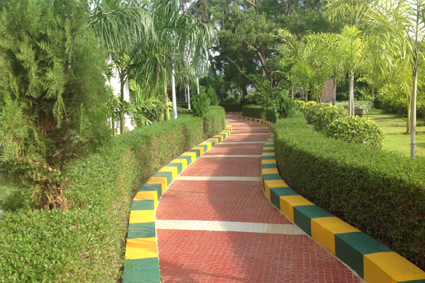 chennai landscape, chennai landscaping, chennai landscape designers, chennai garden maintenance, chennai garden management,